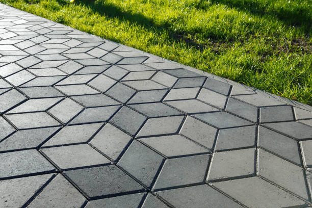 Residential Paver Driveway in Egypt Lake Leto, FL