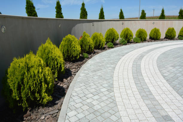 Best Custom Driveway Pavers  in Egypt Lake Leto, FL